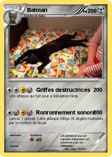 Pokemon Batman