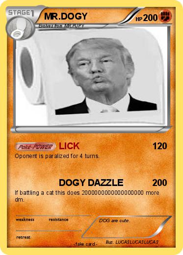 Pokemon MR.DOGY