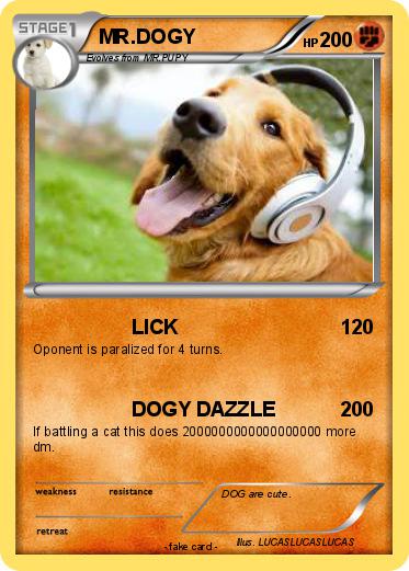 Pokemon MR.DOGY