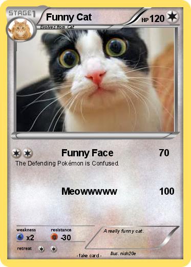 Pokemon Funny Cat