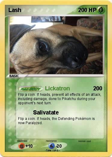 Pokemon Lash