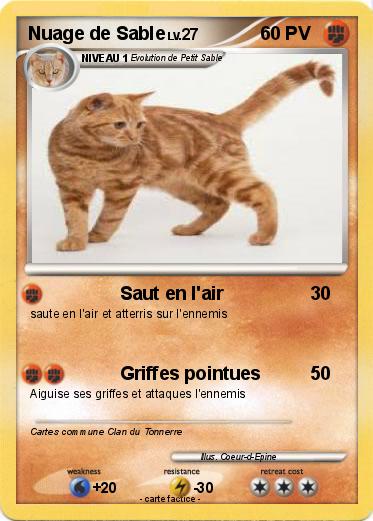 Pokemon Nuage de Sable