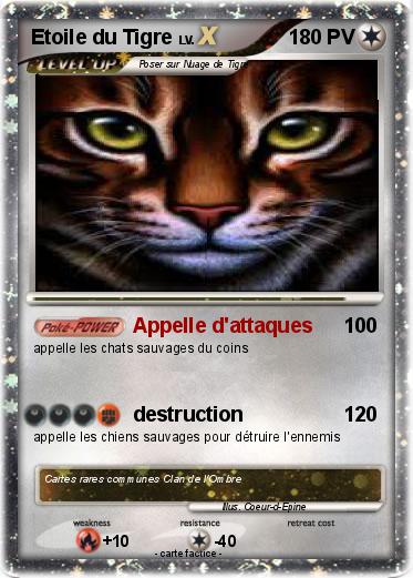 Pokemon Etoile du Tigre