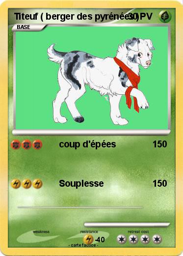 Pokemon Titeuf ( berger des pyrénées )