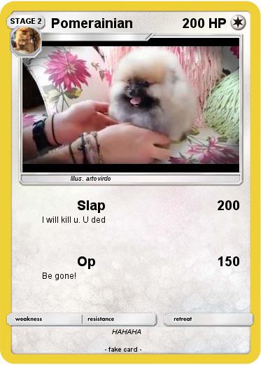 Pokemon Pomerainian