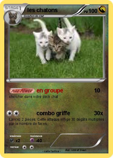 Pokemon les chatons