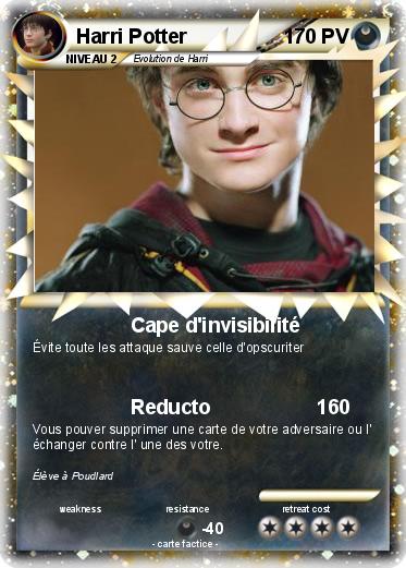 Pokemon Harri Potter