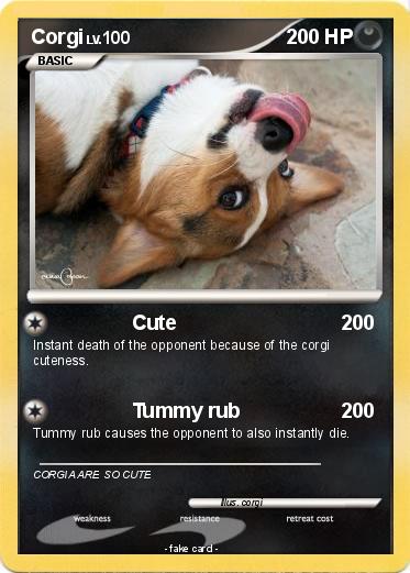 Pokemon Corgi