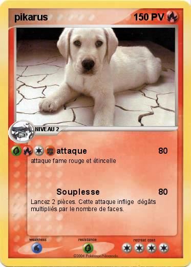 Pokemon pikarus