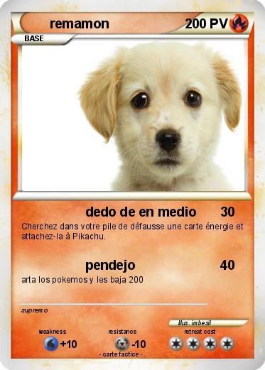 Pokemon remamon