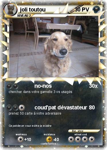 Pokemon joli toutou