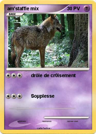 Pokemon am'staffie mix