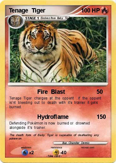 Pokemon Tenage  Tiger