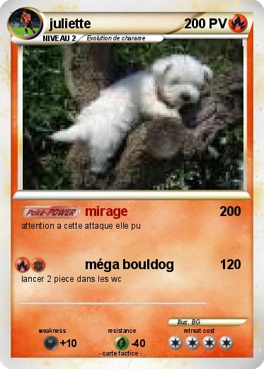 Pokemon juliette