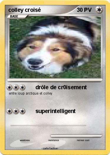 Pokemon colley croisé