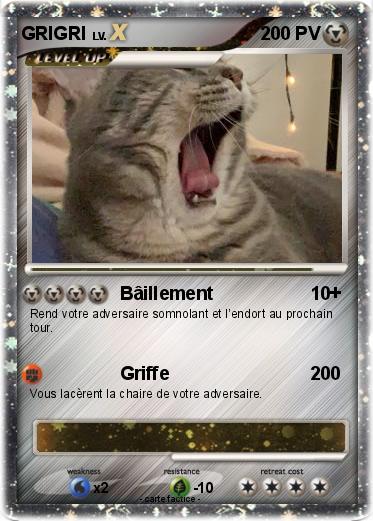 Pokemon GRIGRI