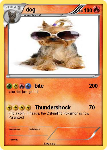 Pokemon dog