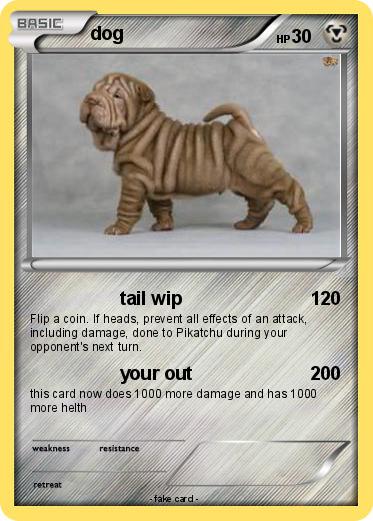 Pokemon dog