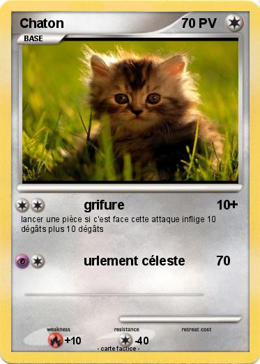 Pokemon Chaton