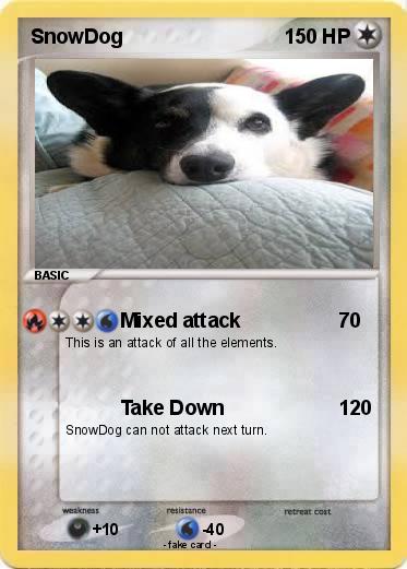 Pokemon SnowDog