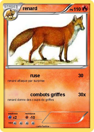 Pokemon renard