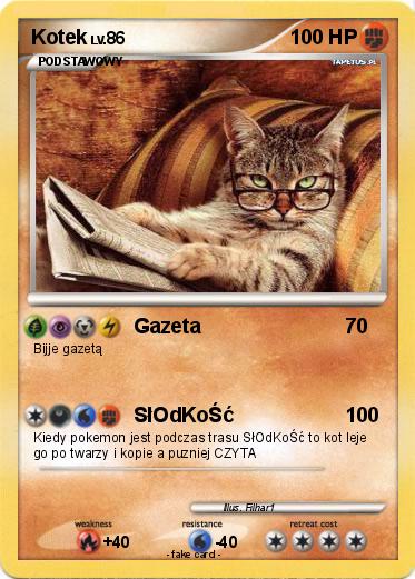 Pokemon Kotek