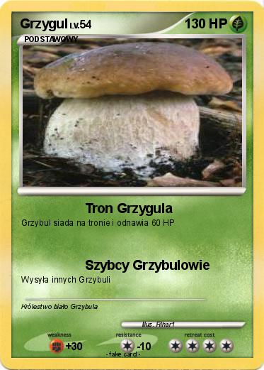 Pokemon Grzygul