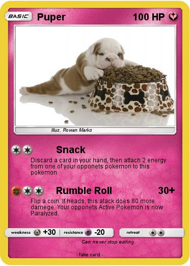 Pokemon Puper