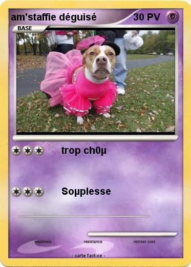 Pokemon am'staffie déguisé