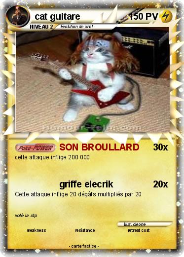 Pokemon cat guitare