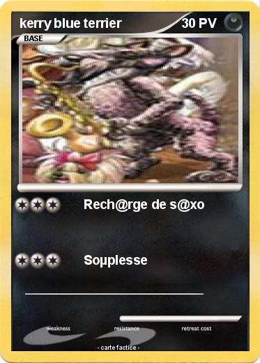 Pokemon kerry blue terrier