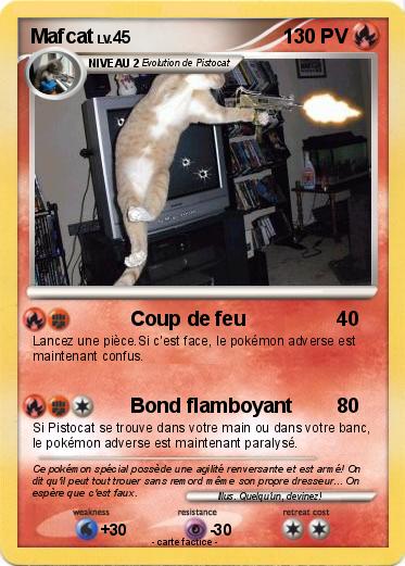 Pokemon Mafcat