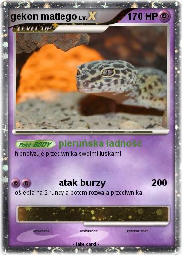 Pokemon gekon matiego