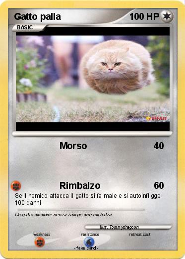 Pokemon Gatto palla