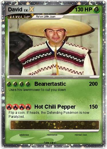 Pokemon David