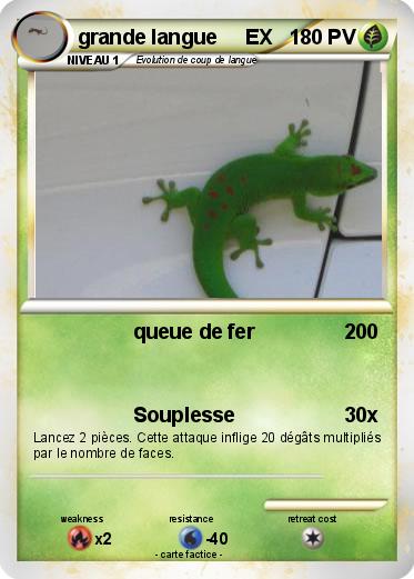 Pokemon grande langue     EX