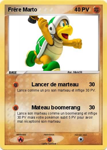 Pokemon Frère Marto