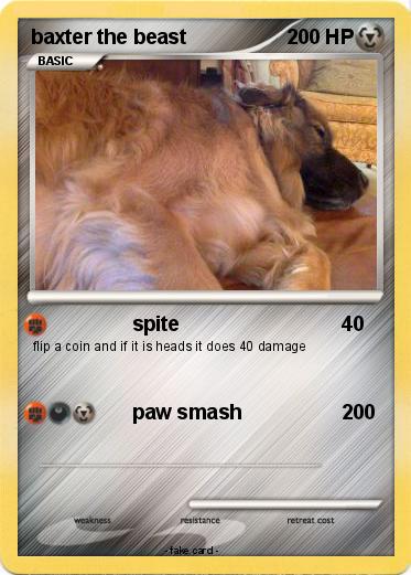 Pokemon baxter the beast