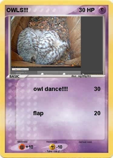 Pokemon OWLS!!!