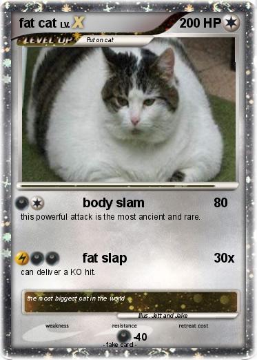Pokemon fat cat
