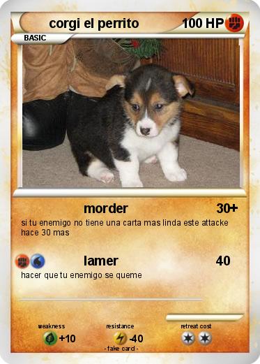 Pokemon corgi el perrito