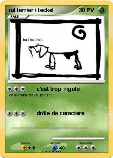 Pokemon rat terrier / teckel