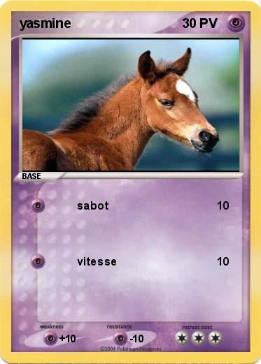 Pokemon yasmine