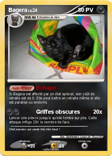 Pokemon Bagera