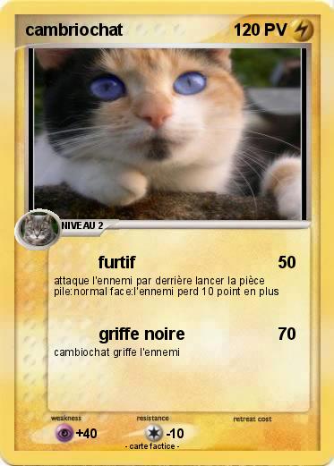Pokemon cambriochat