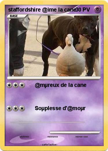 Pokemon staffordshire @ime la cane