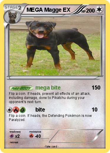 Pokemon MEGA Magge EX