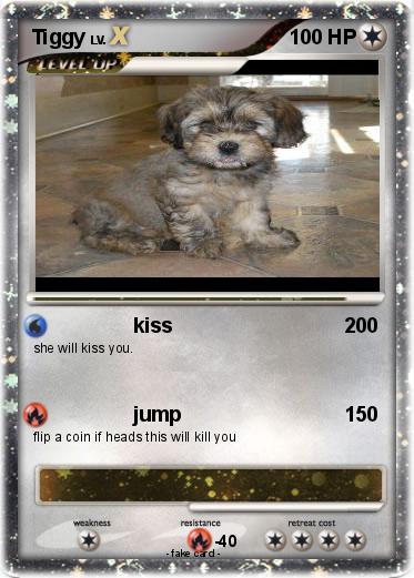 Pokemon Tiggy