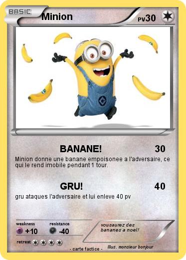 Pokemon Minion
