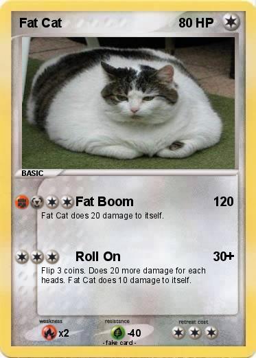 Pokemon Fat Cat